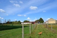 Beautiful Equestrian Property with 18 Hectares of land and a lake