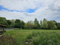 Ensemble Immobilier de Charme avec Maison Principale, Gîte, et Piscine