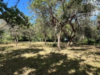 Superbe Propriété avec Parc Boisé proche de Villefagnan