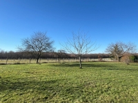 Maison Ancienne Avec 5 Chambres Et Diverses Dépendances Sur Un Terrain De 73105m²