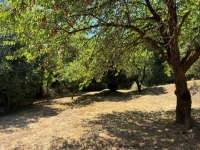 Charmant Ensemble à Vendre Avec 2 Maisons, Granges et Terrain Arboré