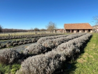 Maison Ancienne Avec 5 Chambres Et Diverses Dépendances Sur Un Terrain De 73105m²