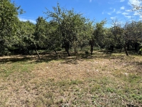 Superbe Propriété avec Parc Boisé proche de Villefagnan