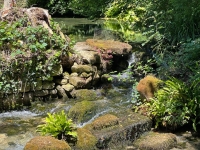 Ancien Moulin dans un Cadre Idyllique