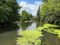 Renovated Flour Mill, Ideally Located in a Peaceful Setting On The River Charente