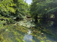 Renovated Flour Mill, Ideally Located in a Peaceful Setting On The River Charente