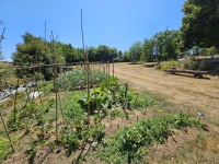 Superb Character House with 2 Bedrooms Between Champagne Mouton and Saint-Laurent-de-Céris