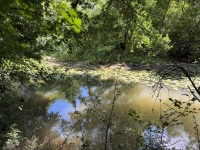 Majestic Riverside Stone Property On 3 Acres
