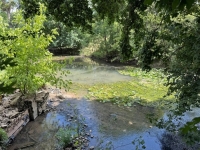 Majestic Riverside Stone Property On 3 Acres