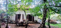 Stone House with Lovely Gardens and Outbuildings