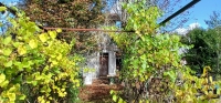 Stone House with Lovely Gardens and Outbuildings