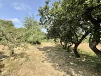 Superb Converted Barn near Ruffec with 2 Bedrooms, Garden and Orchard