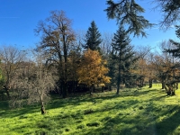 Très Belle Maison du 17e Siècle avec Beau Parc et Dépendances