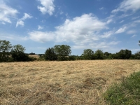 Magnifique Maison de Maître sur plus d'un Hectare de Terrain et avec de Belles Dépendances