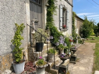 Magnifique Maison de Maître sur plus d'un Hectare de Terrain et avec de Belles Dépendances