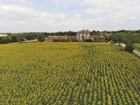 Magnifique Maison de Maître sur plus d'un Hectare de Terrain et avec de Belles Dépendances