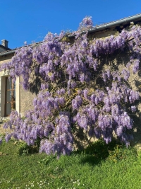 Magnifique Maison de Maître sur plus d'un Hectare de Terrain et avec de Belles Dépendances