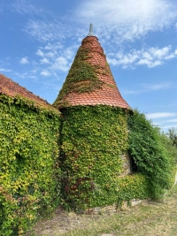 Magnifique Maison de Maître sur plus d'un Hectare de Terrain et avec de Belles Dépendances