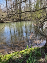 Belle Maison de Campagne avec Grange Attenante et Accès à la Rivière Charente