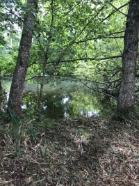 Belle Maison de Campagne avec Grange Attenante et Accès à la Rivière Charente