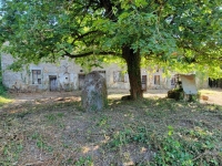 Old small Manor house to renovate