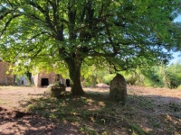 Old small Manor house to renovate