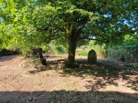 Old small Manor house to renovate