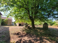 Old small Manor house to renovate