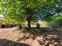 Old small Manor house to renovate