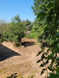 Old small Manor house to renovate