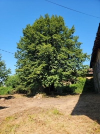 Old small Manor house to renovate