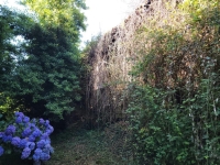 Ancien petit Manoir à rénover