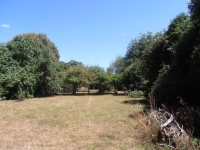 Beautiful Detached Stone Property With Barns and A Mature Garden