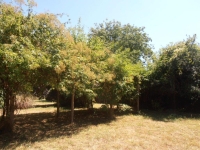 Beautiful Detached Stone Property With Barns and A Mature Garden