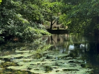 Renovated Flour Mill, Ideally Located in a Peaceful Setting On The River Charente