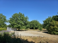 Joli Pavillon dans un grand terrain sans vis à vis