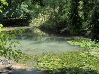 Majestic Riverside Stone Property On 3 Acres