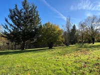 Terrain à Bâtir Arboré avec Hangars et Autres Dépendances