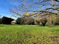 Terrain à Bâtir Arboré avec Hangars et Autres Dépendances