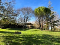 Terrain à Bâtir Arboré avec Hangars et Autres Dépendances