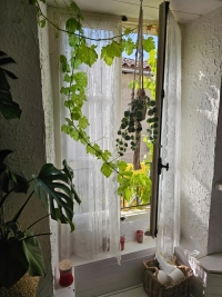 Beautiful Stone House in the Heart of the Picturesque Village of Nanteuil-en-Vallée
