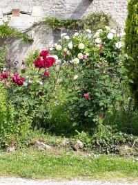 Belle Longère avec Dépendances et Belle Cour Fleurie