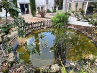 Belle Maison en Pierre avec Beau Jardin et Beaucoup de Dépendances