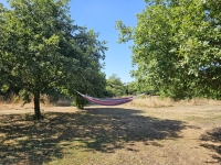 Joli Pavillon dans un grand terrain sans vis à vis