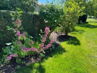 Maison De Campagne Située Au Calme A Vendre. 2 Chambres Et Grand Jardin