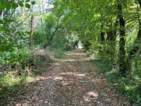 Superbe Propriété avec Parc Boisé proche de Villefagnan