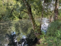 Maison de Village En Bordure de la Charente.
