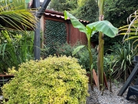 Nanteuil-en-Vallée Belle Maison de Plain-Pied avec 2 Chambres, Jardin Arboré et Plunge Pool