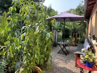 Nanteuil-en-Vallée Belle Maison de Plain-Pied avec 2 Chambres, Jardin Arboré et Plunge Pool