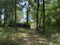 Maison de Village En Bordure de la Charente.